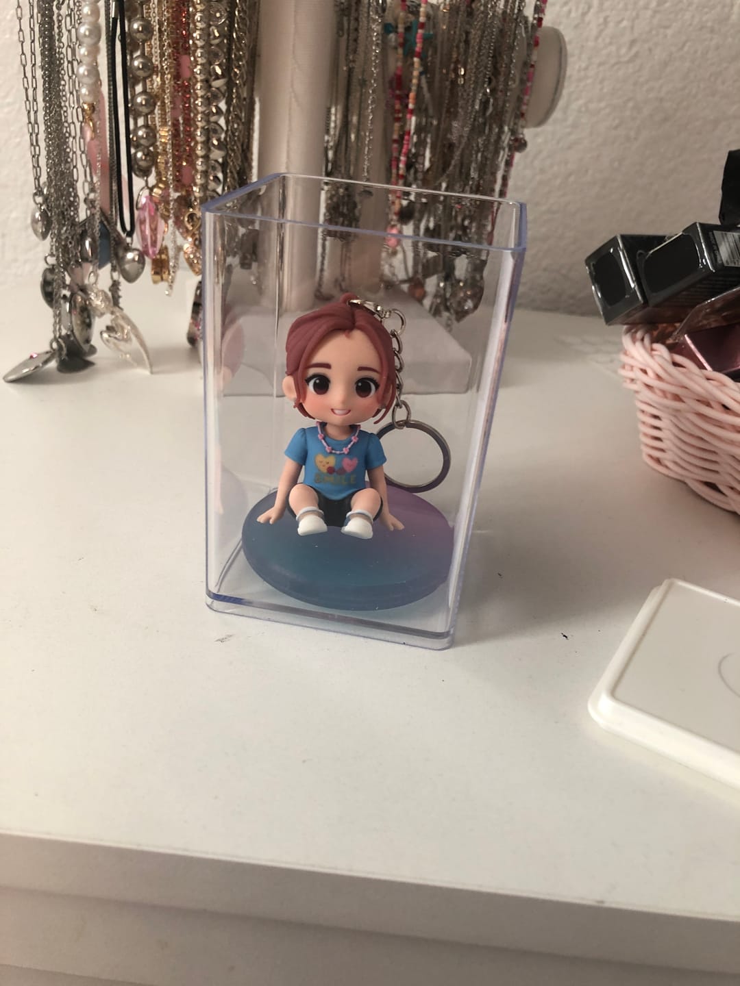 Customer photo review of Dust-Proof Acrylic Display Case