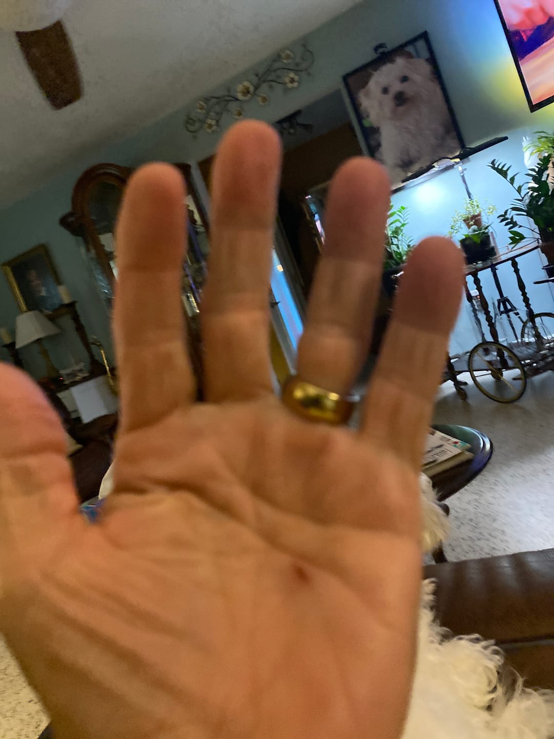 Customer photo review of High Polished Yellow Gold - 8mm