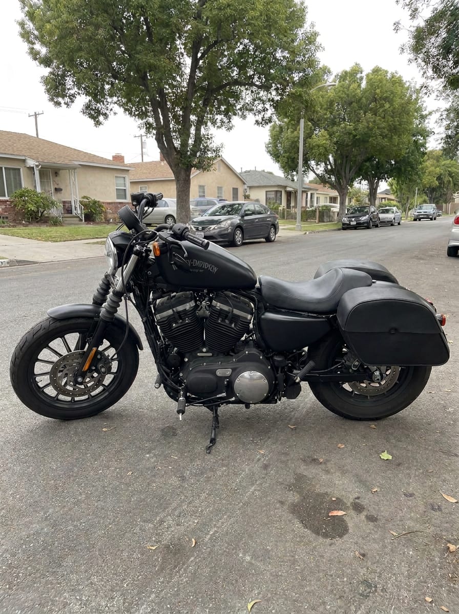 Customer photo review of 32L - Panzer Large Hard Mount Shock Cutout Saddlebags for Harley Sportster 883 Iron XL883N