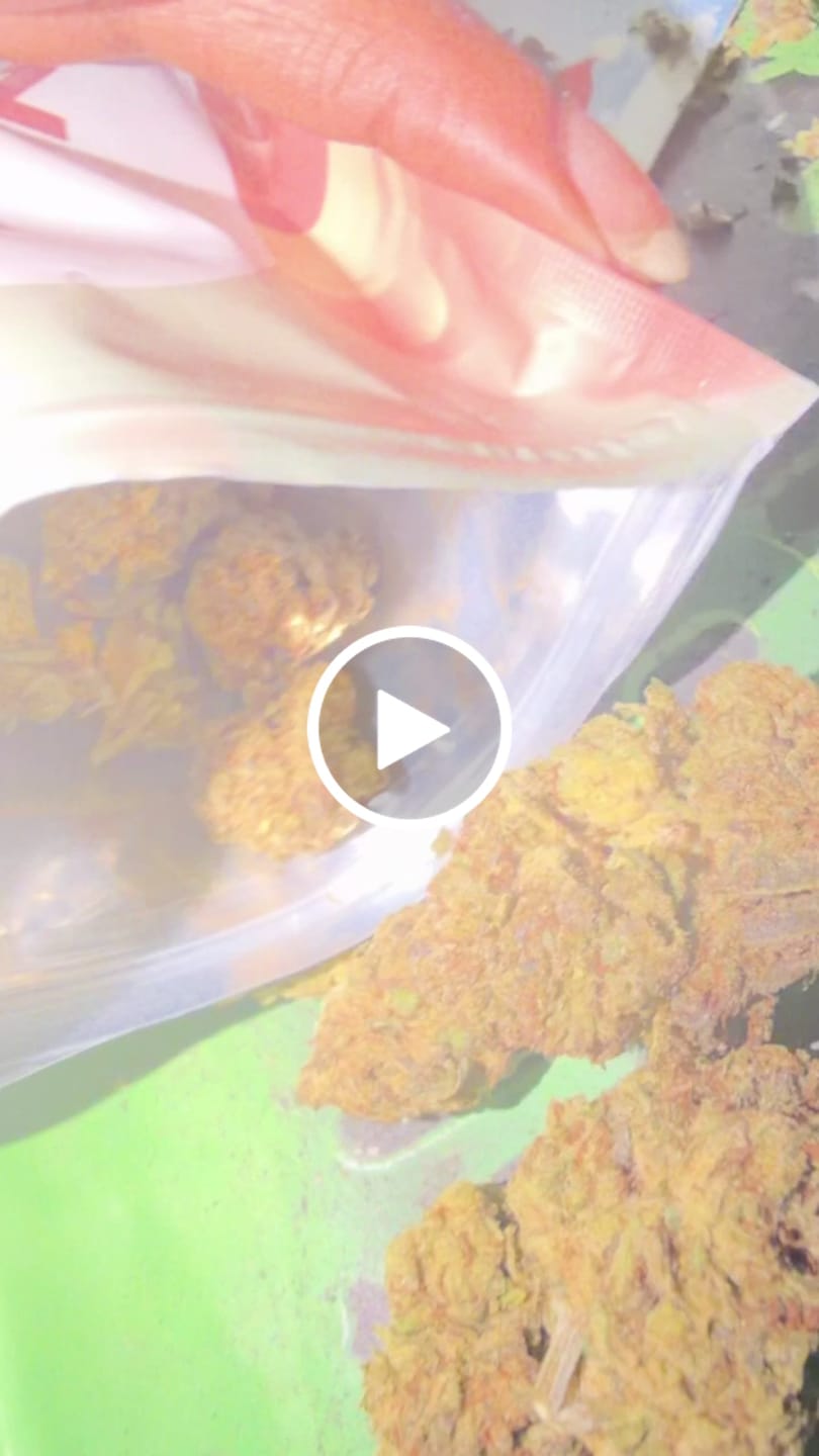 Customer video review of Shipping Protection