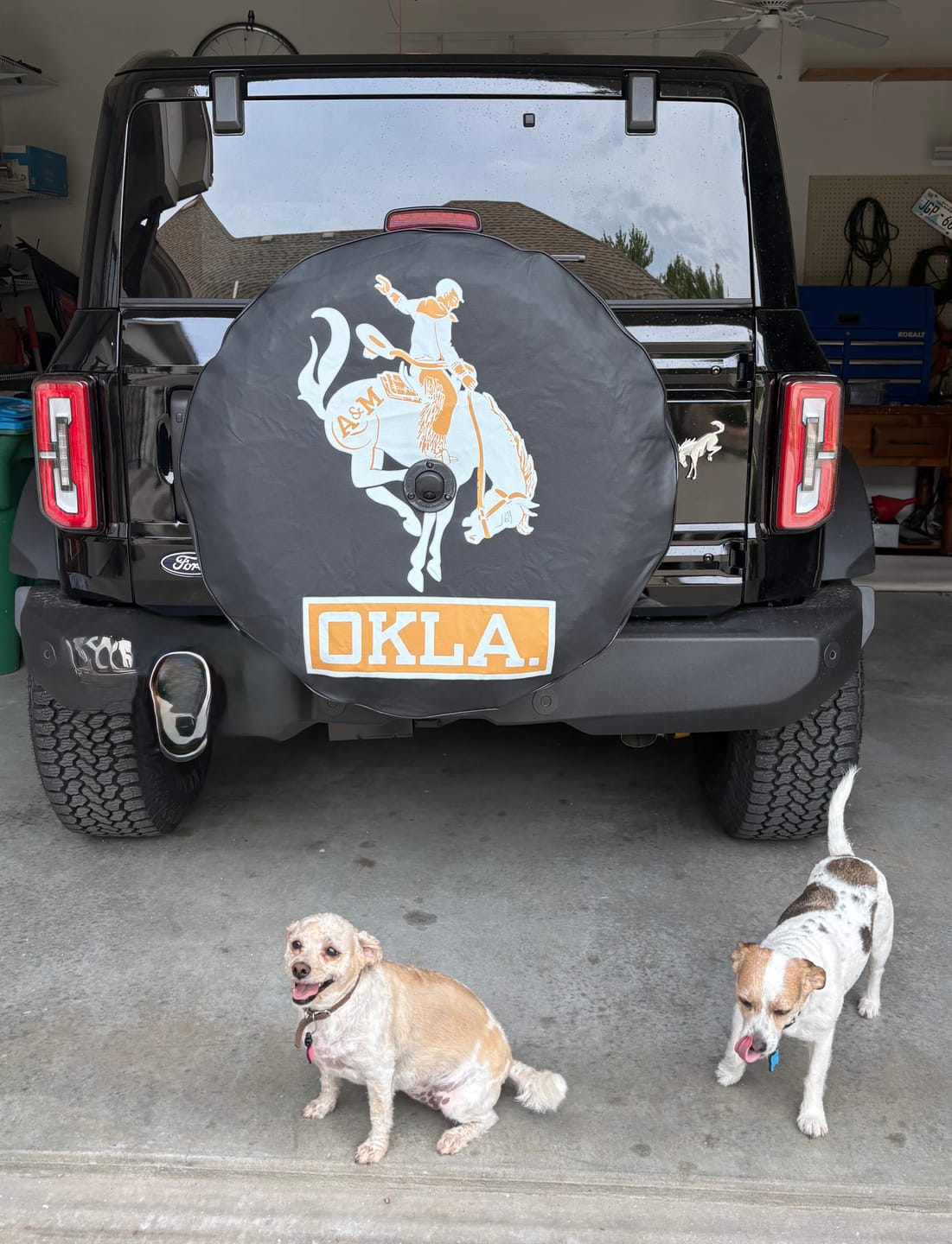 Customer photo review of CUSTOM Ford Bronco Tire Cover