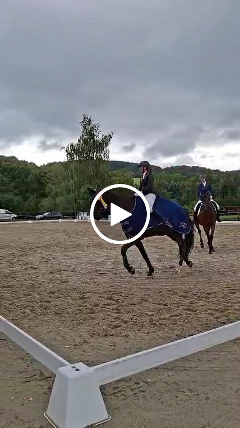 Customer video review of Strotonin Nerve Support