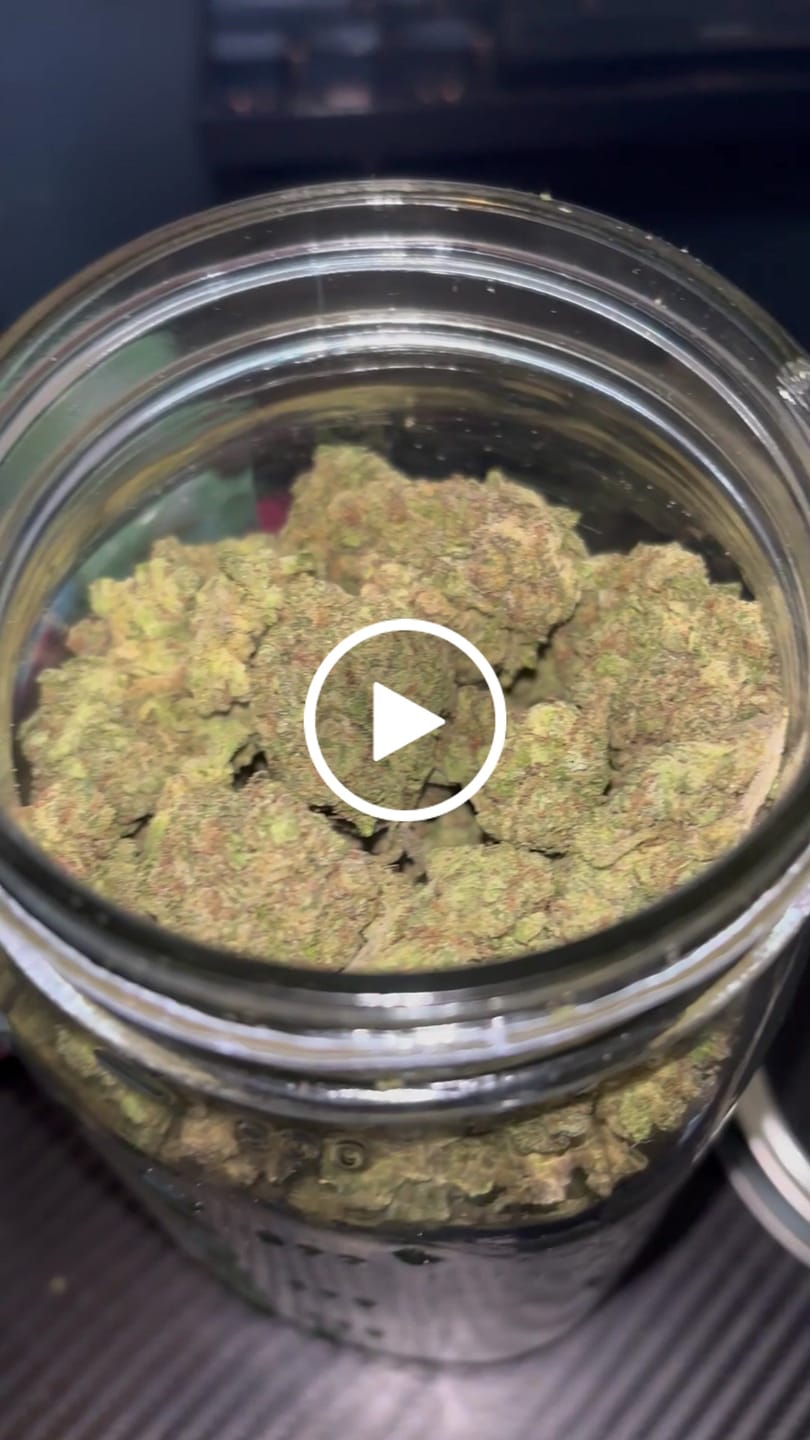 Customer video review of White Widow THCA Flower