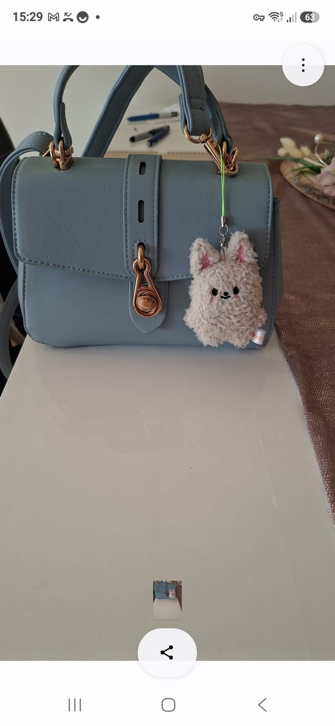 Customer photo review of Cute KPOP SKZ Animal Characters 5cm Toy Pendant