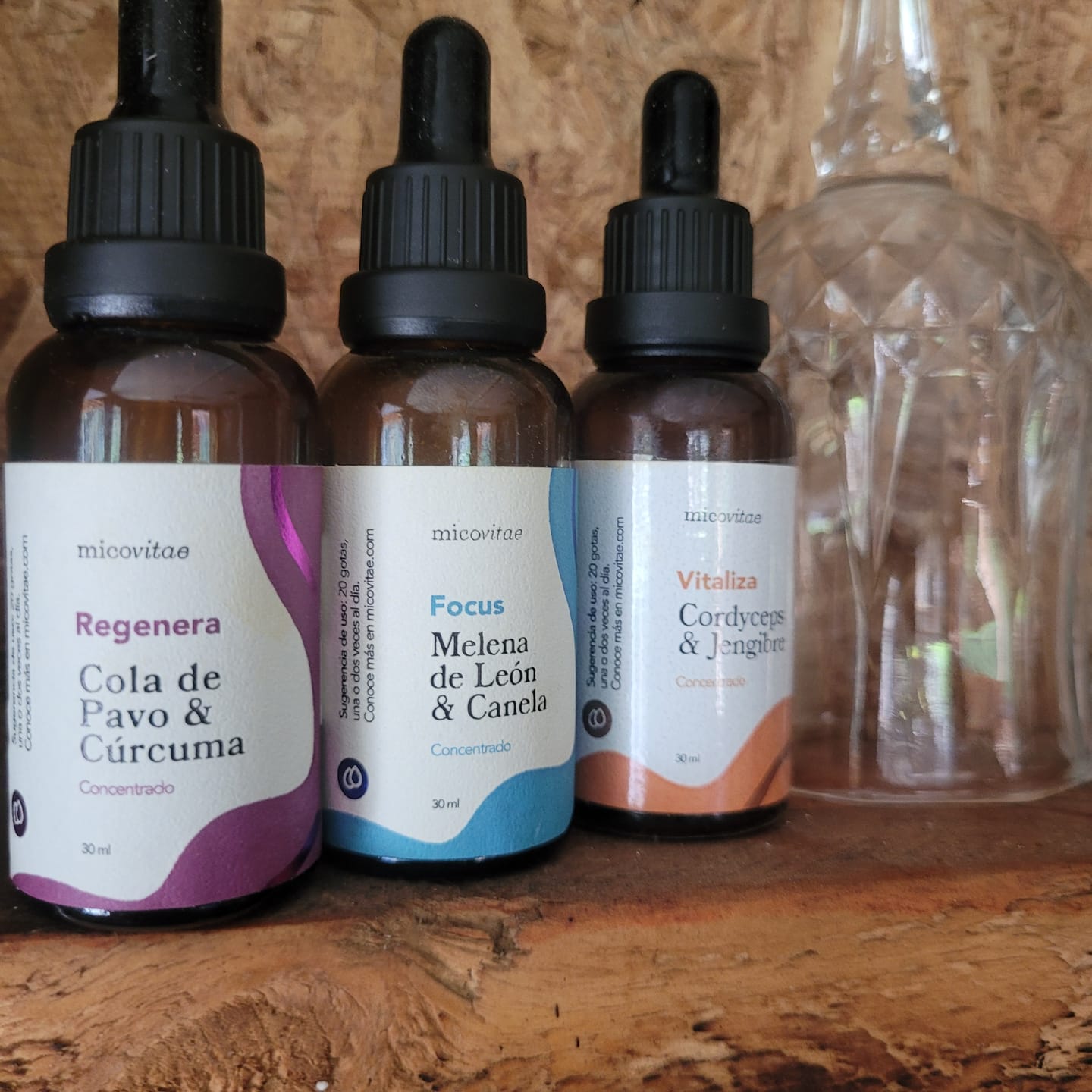 Customer photo review of Focus | Extracto de Melena de León