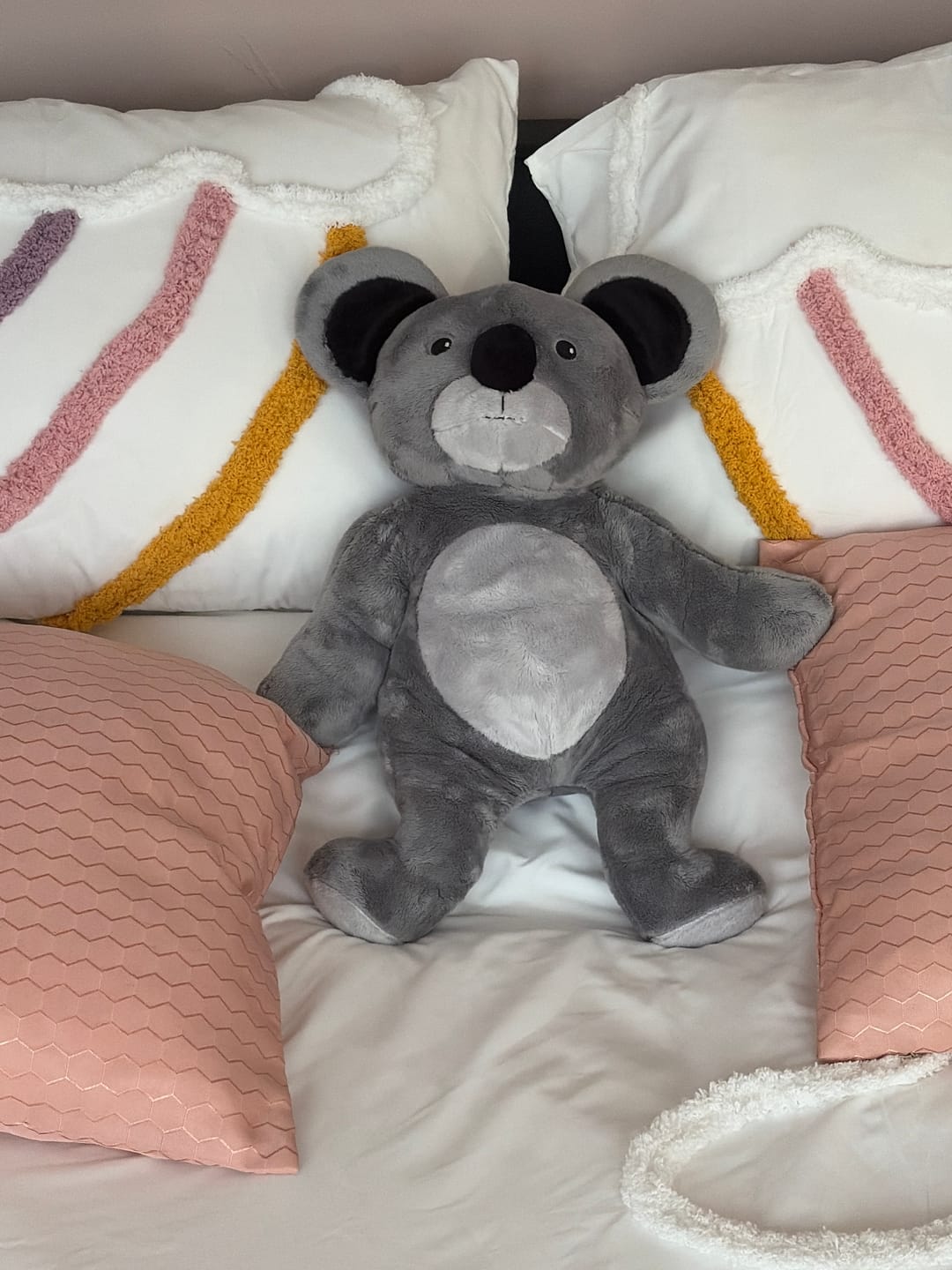 Customer photo review of Lotgenootje Koala 2kg