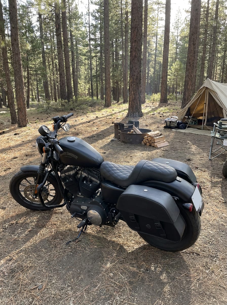 Customer photo review of 32L - Baelor Large Hard Mount Shock Cutout Saddlebags for Harley Sportster 883 Iron XL883N