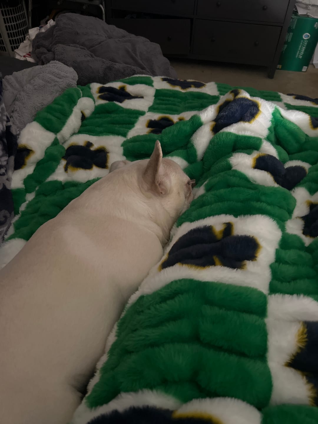 Customer photo review of Notre Dame Fighting Irish Blanket - Hugs