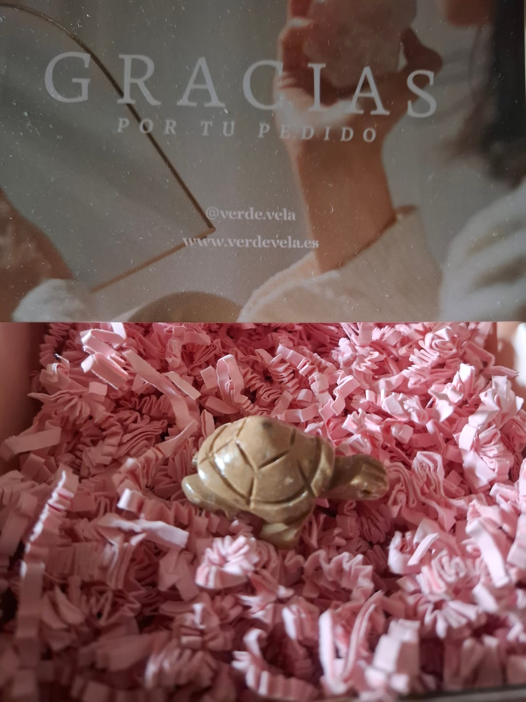 Customer photo review of Tortuga | Serpentina | Guardián Protector - Perseverancia
