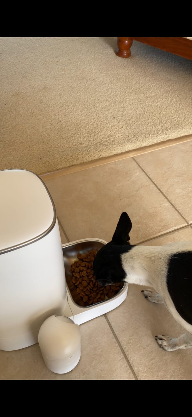 Customer photo review of OrbiPet - Smart Camera Pet Feeder