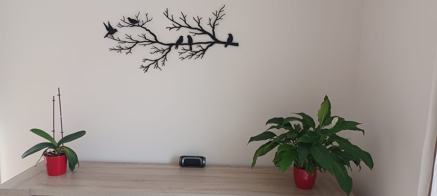 Customer photo review of Décoration murale en métal moderne - Oiseaux sur branche (V.02)