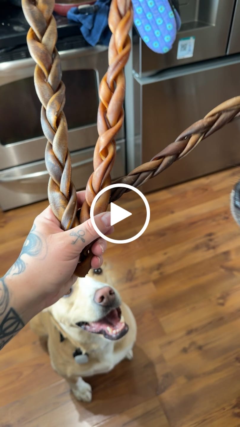 Customer video review of 10-12 Inch Braided Collagen Stick