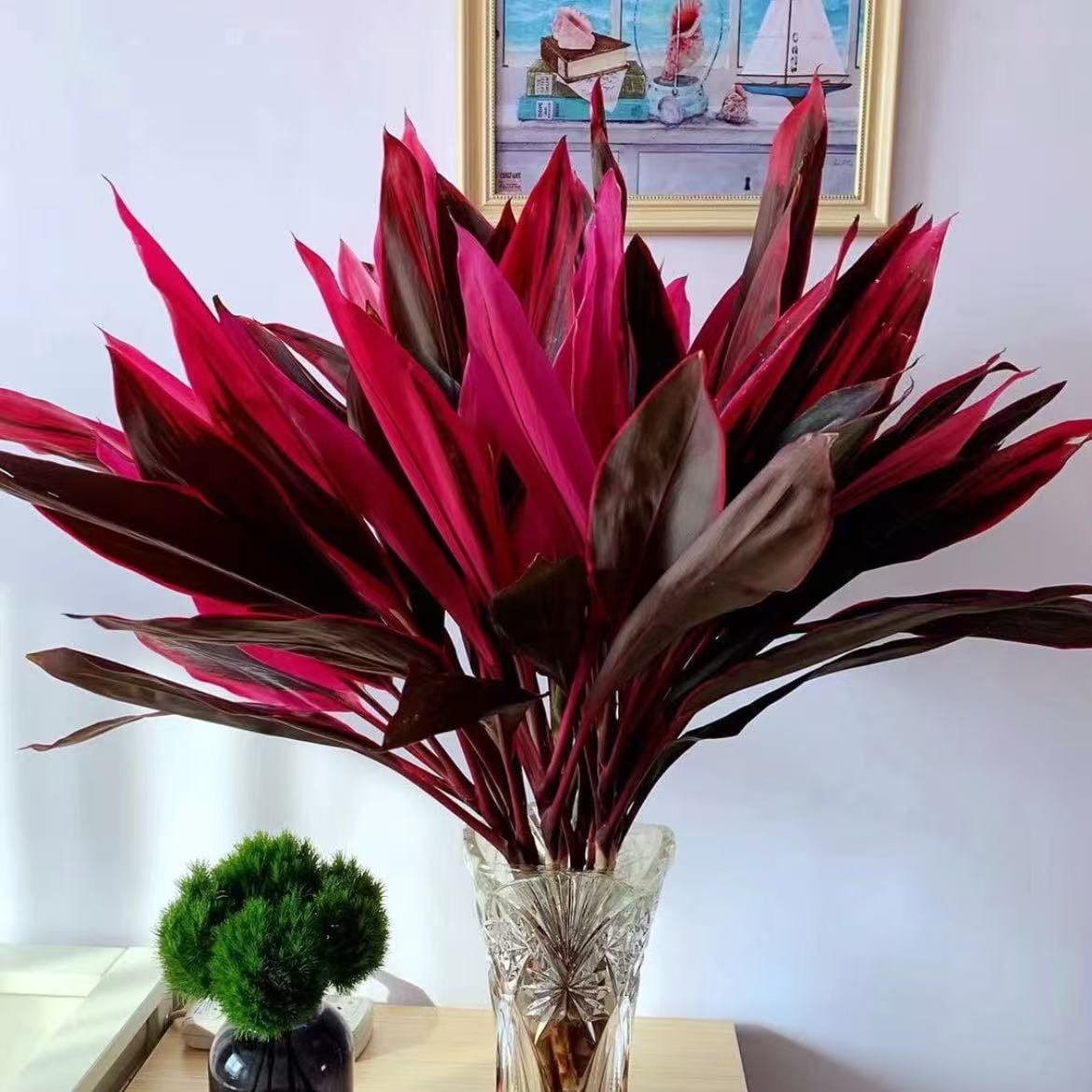 Customer photo review of 🔥Last Day 50% OFF🔥Large Realistic Artificial Boston Fern & Dragon's Blood Tree Plants