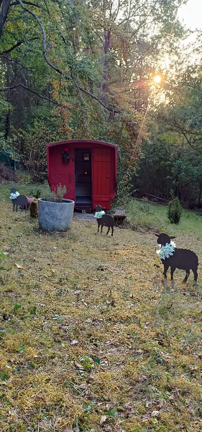 Customer photo review of Gartenstecker Schaf