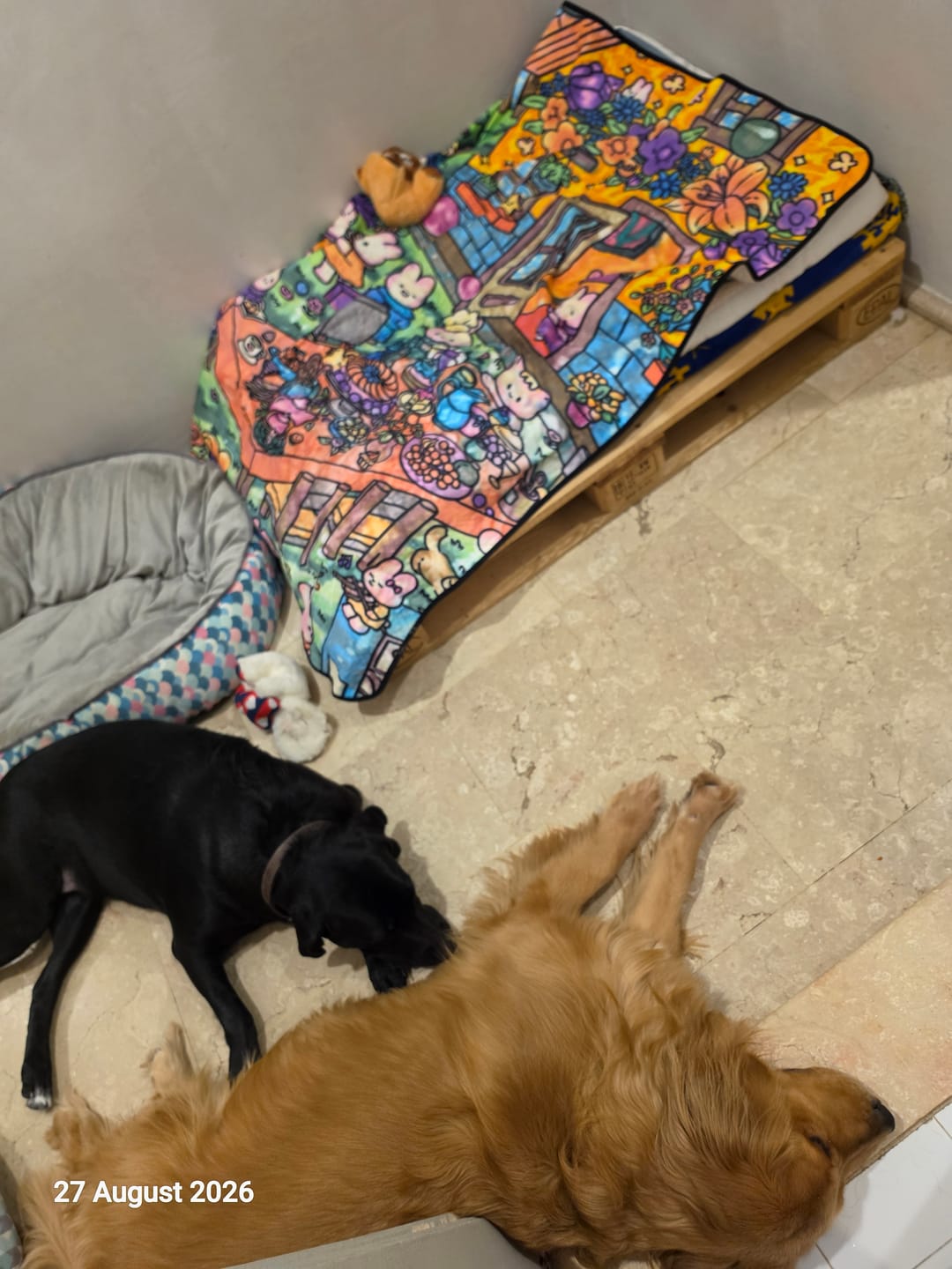 Customer photo review of MeWaii® Color-in Blanket – Stress-Relief DIY Blanket with Included Coloring Pens