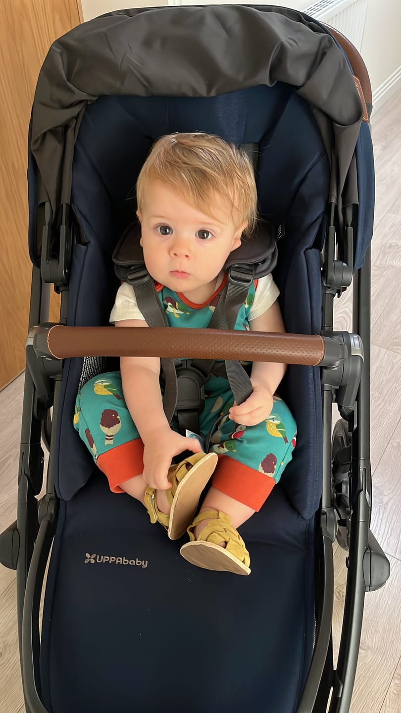 Customer photo review of Garden Birds Everyday Dungarees