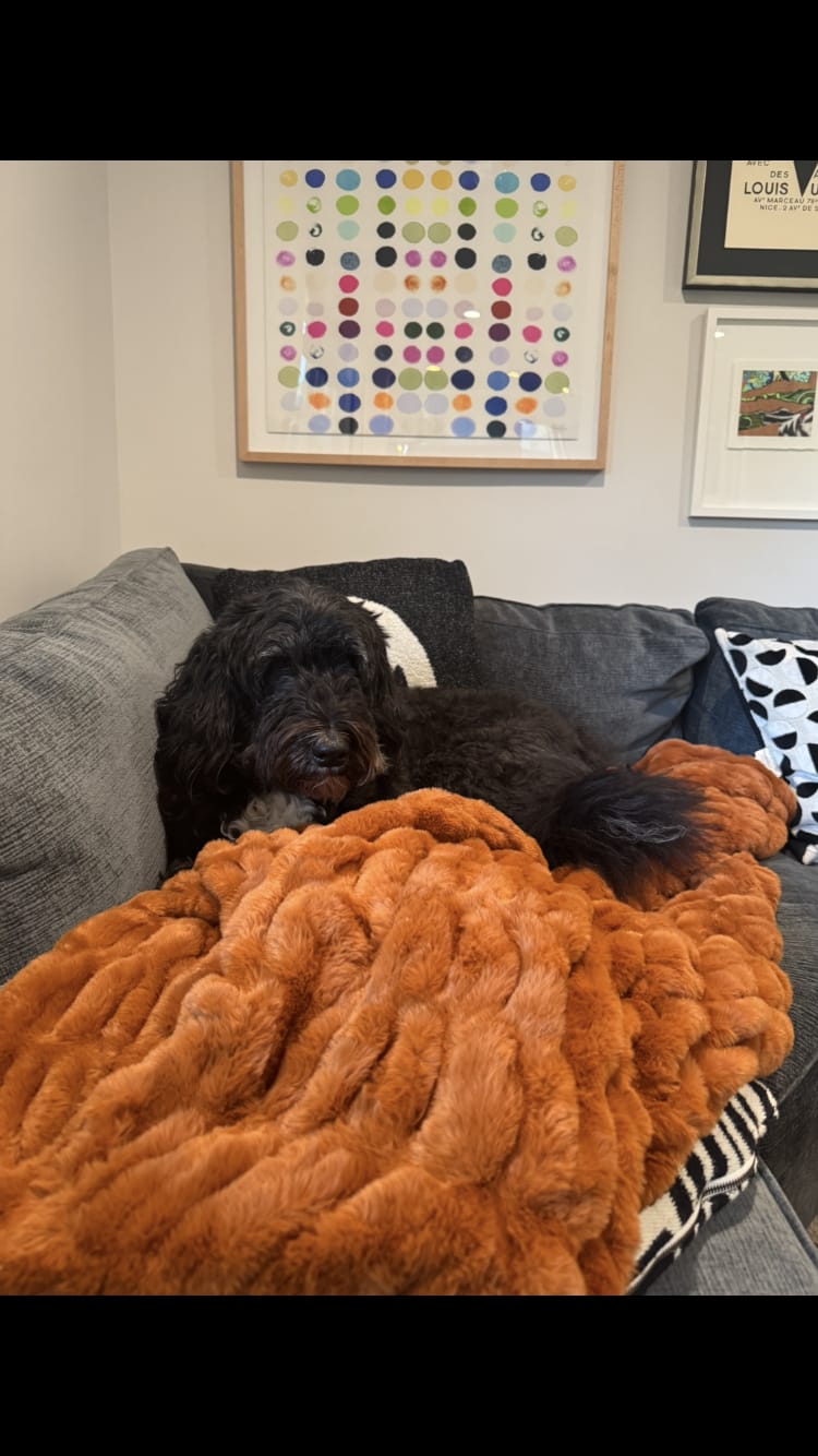 Customer photo review of Hugs Desert Sun Blanket
