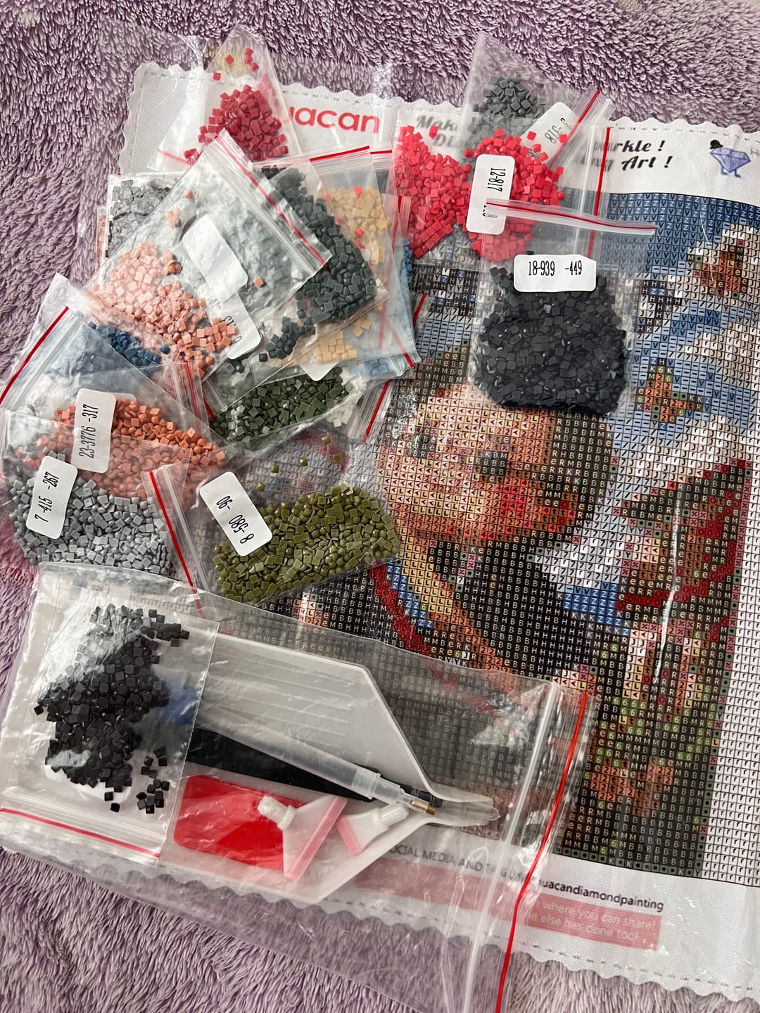 Customer photo review of Convierte a Petro en una Obra de Arte™