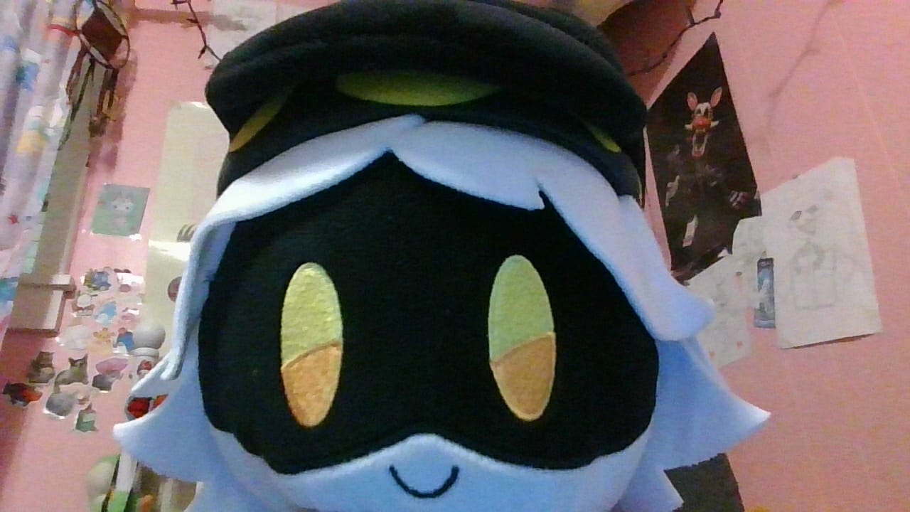 Customer photo review of N Plush