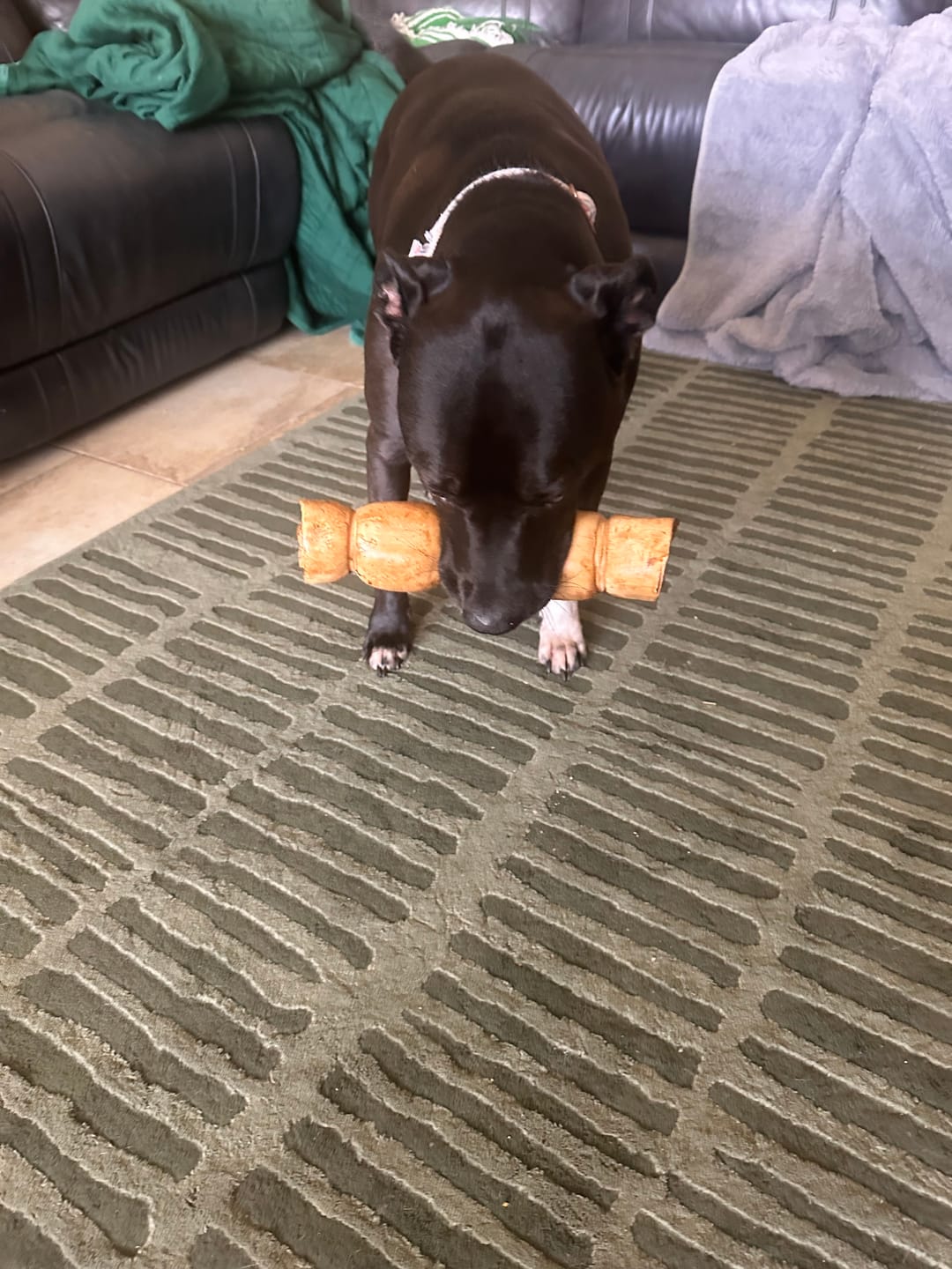 Customer photo review of 10-12 Inch Peanut Butter Cheek Roll