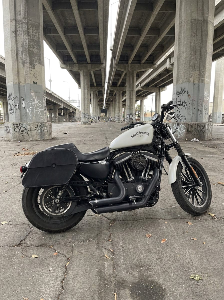 Customer photo review of 32L - Panzer Large Hard Mount Shock Cutout Saddlebags for Harley Sportster 883 Iron XL883N