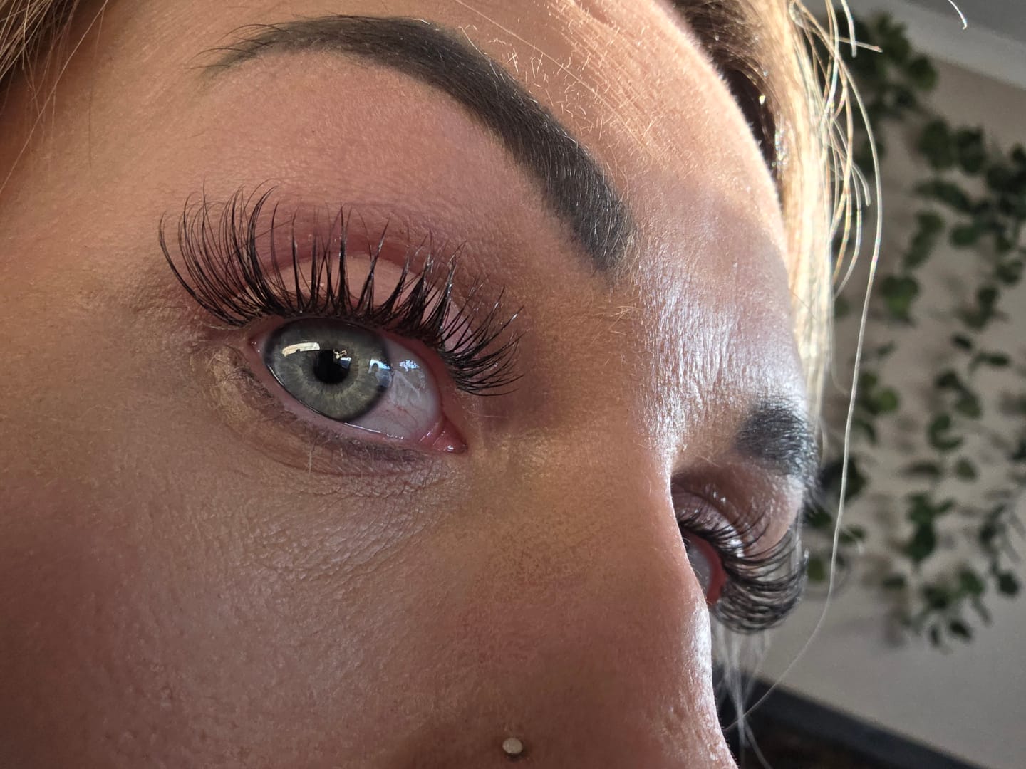 Customer photo review of Venus Lash Kit