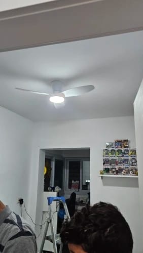 Customer photo review of Three-Blade Ceiling Fan with Dimmable Light and Remote