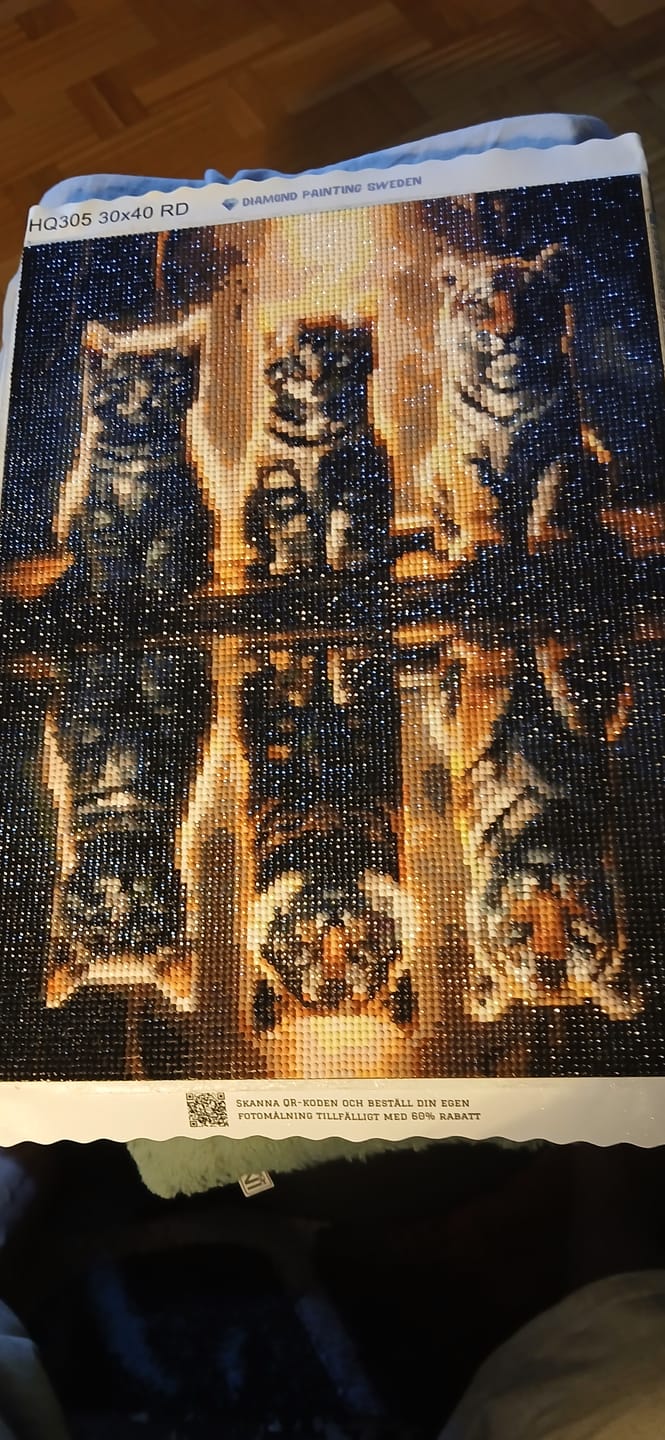 Customer photo review of 3 Kattungar Reflektion