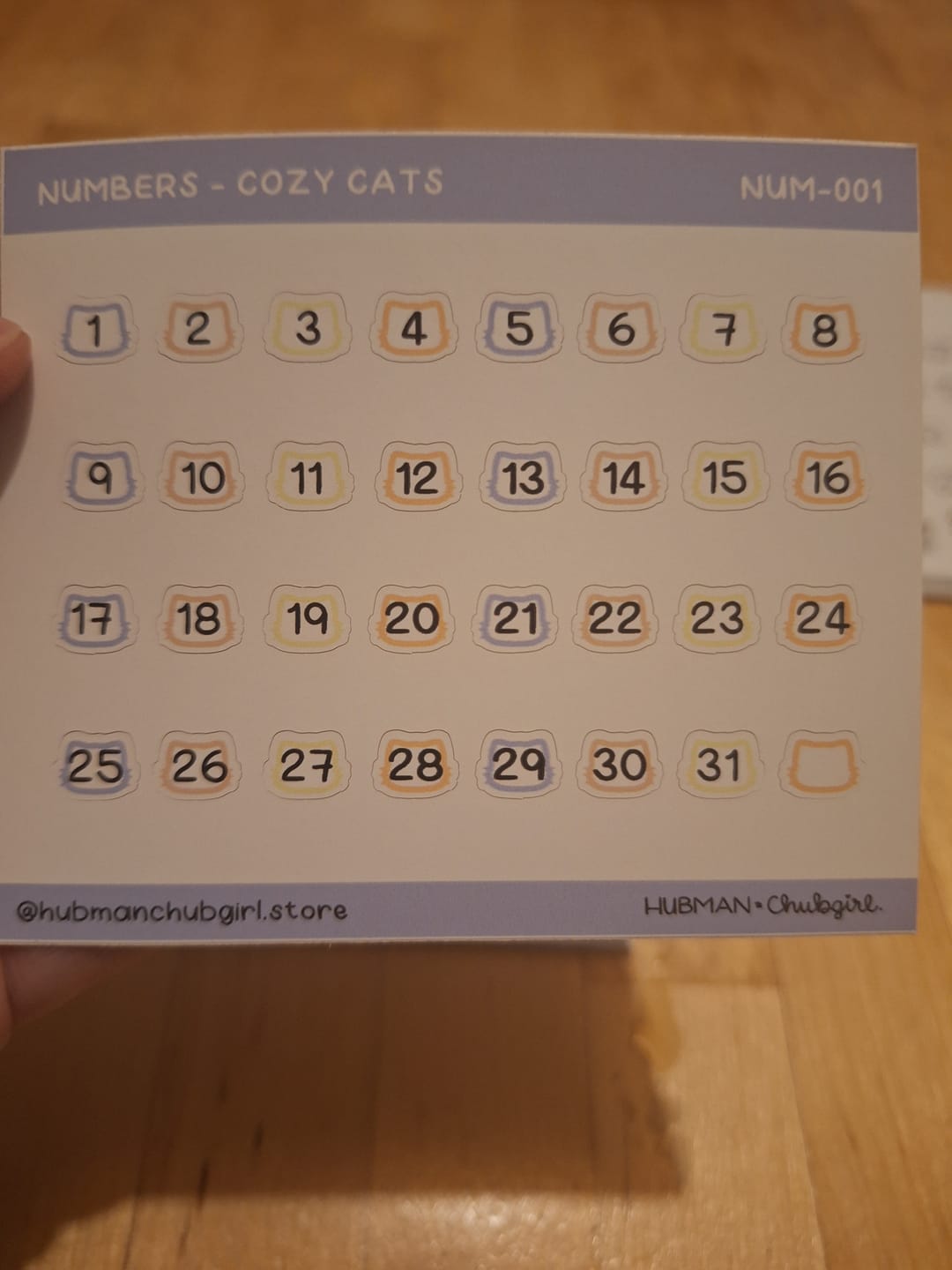 Customer photo review of Numbers - Cozy Cat Planner Stickers