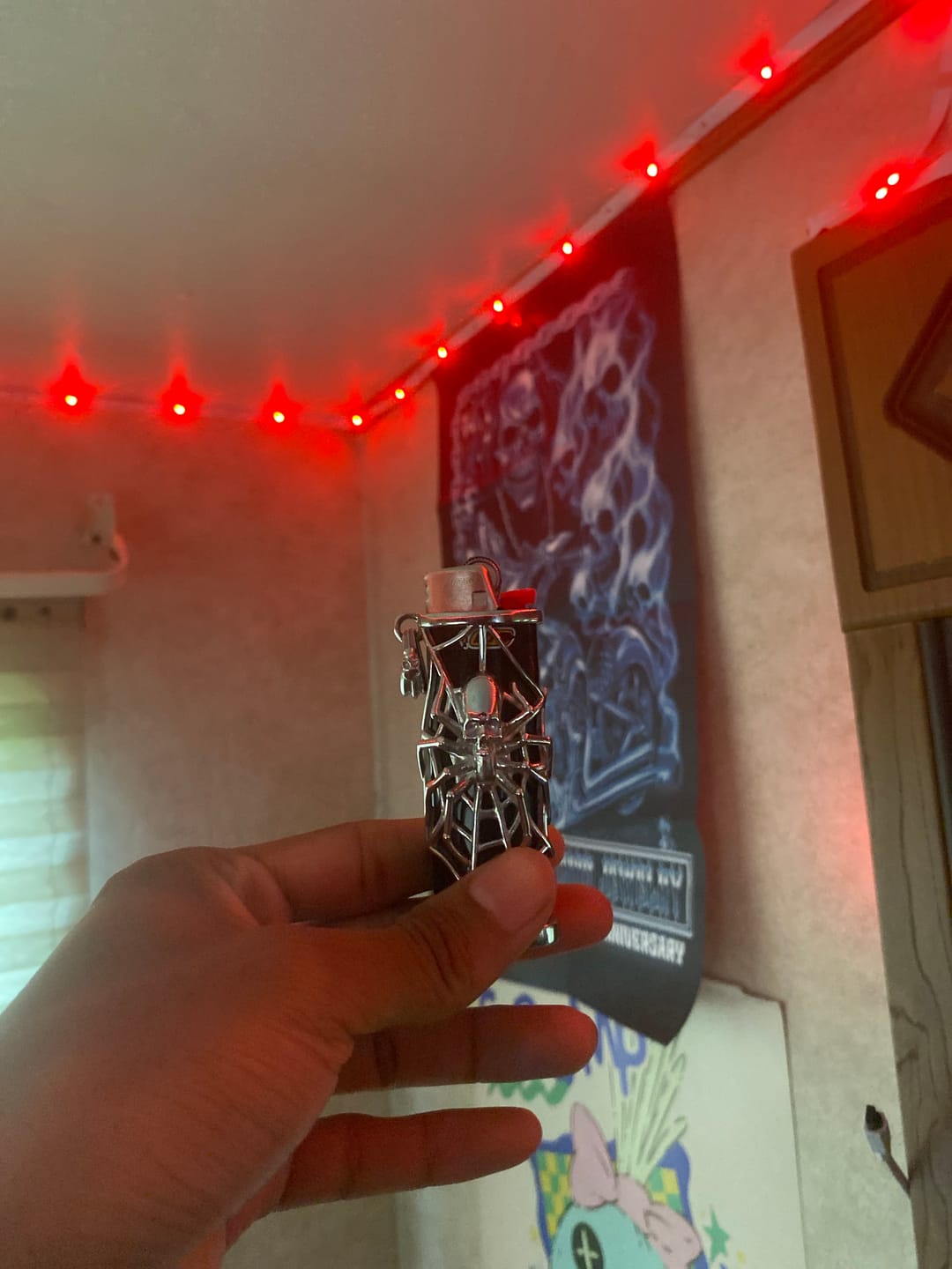 Customer photo review of SPIDER LIGHTER CASE
