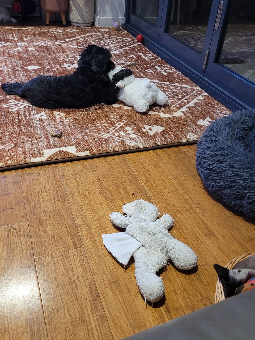 Customer photo review of Heartbeat Buddy for Pets