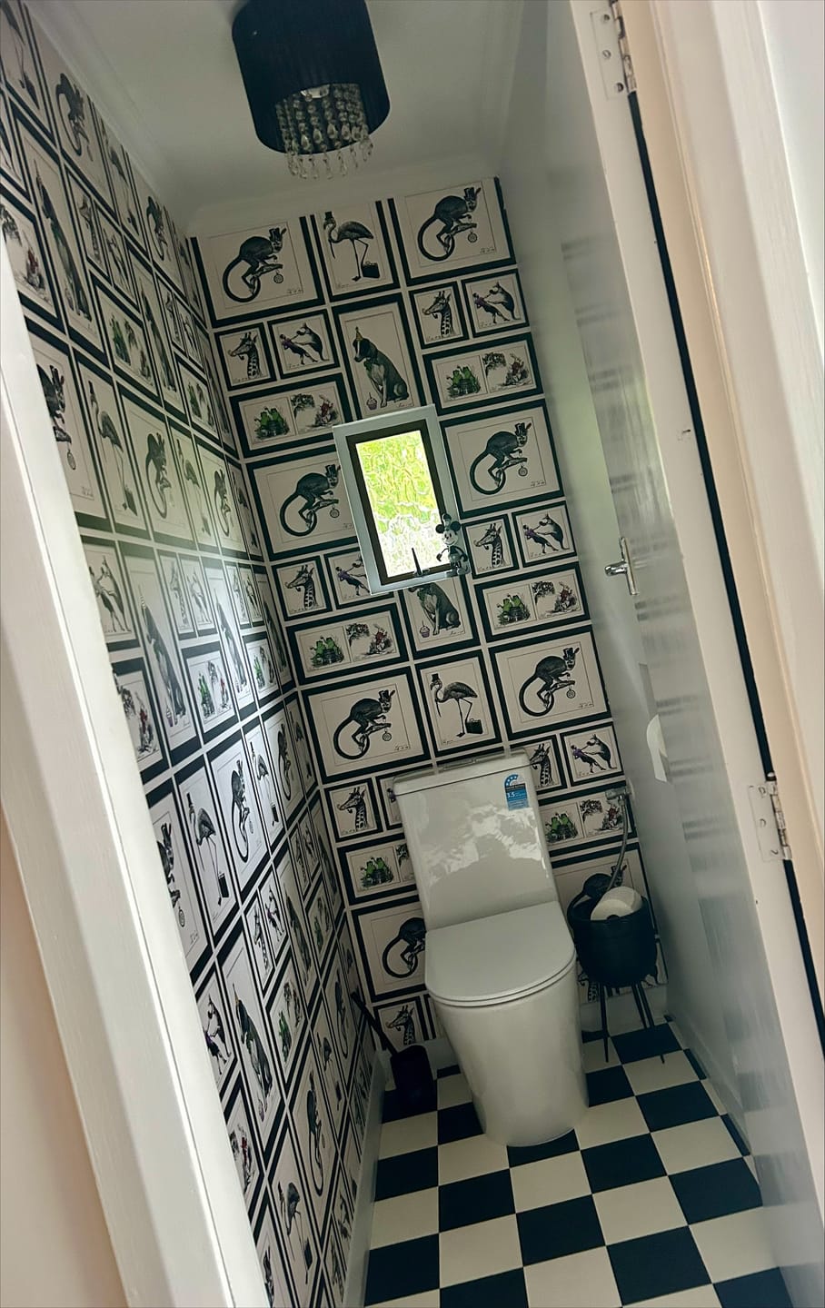Customer photo review of Mad Dogs – Framed Animal Portraits Wallpaper – Multi