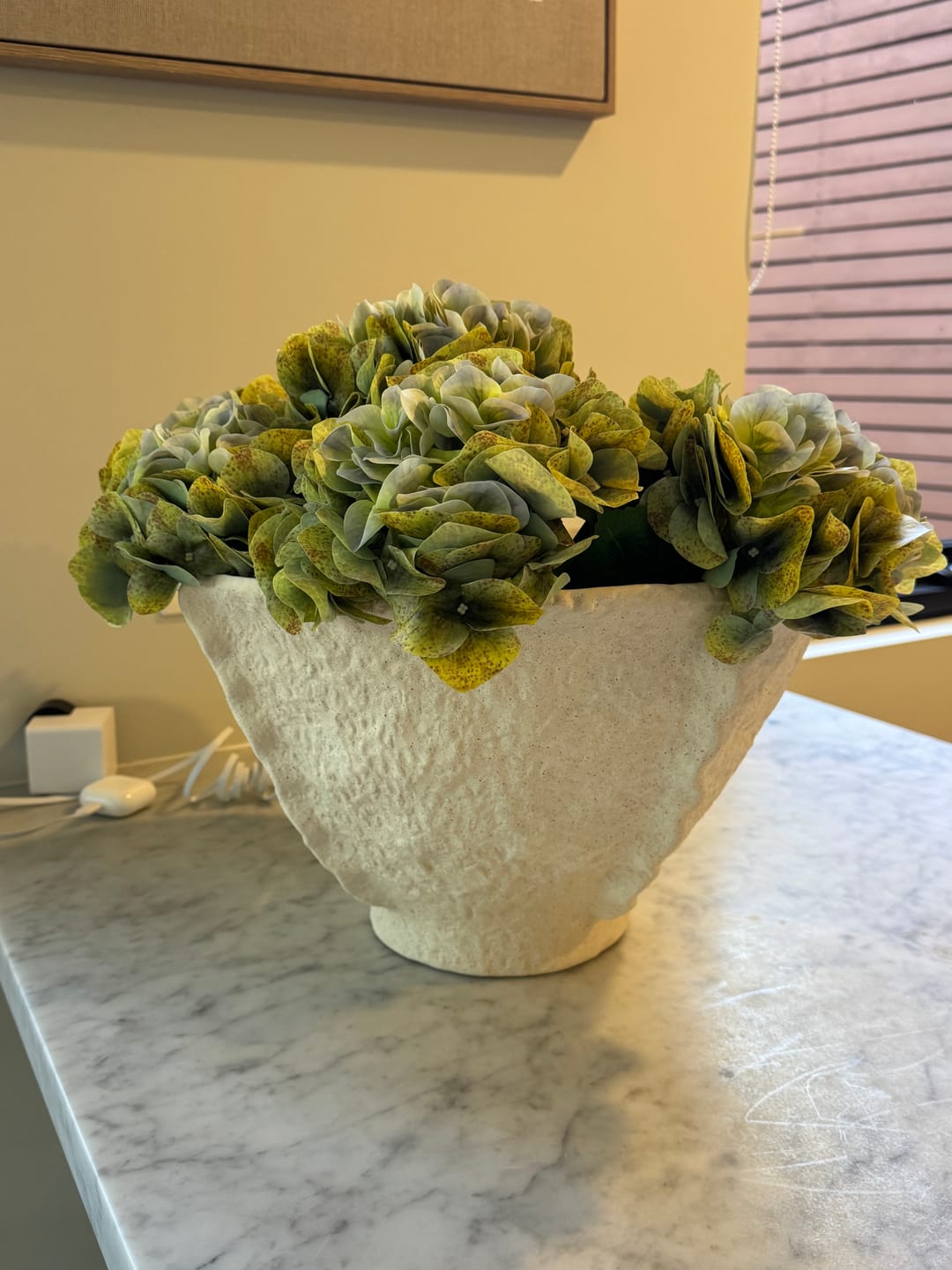Customer photo review of Olive Green Hydrangeas
