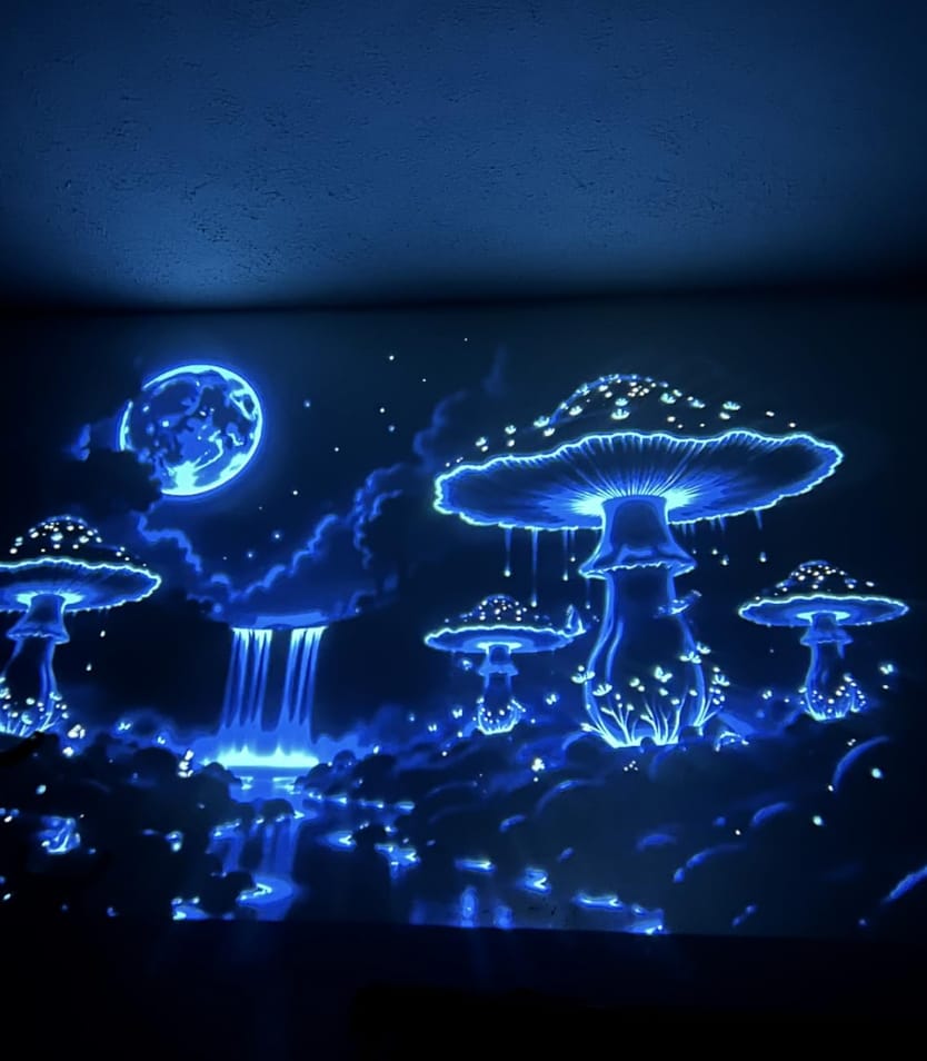 Customer photo review of WallCinema™ Pro – Portable Smart Projector with 4K Support