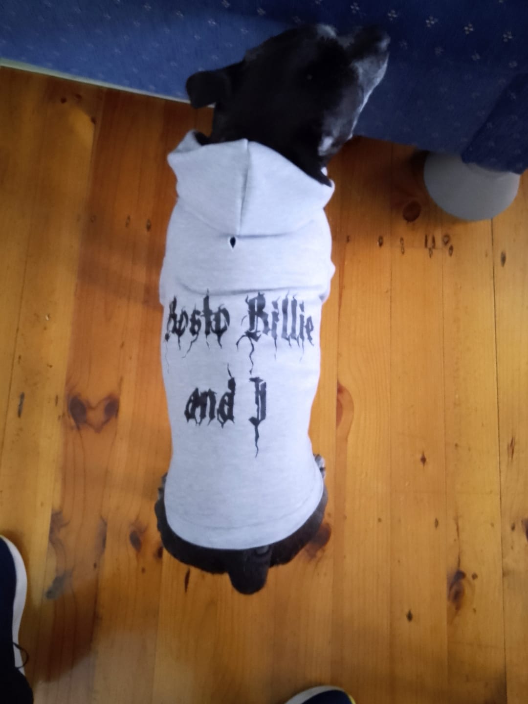 Customer photo review of Personalised Dog Hoodie Black Metal Font