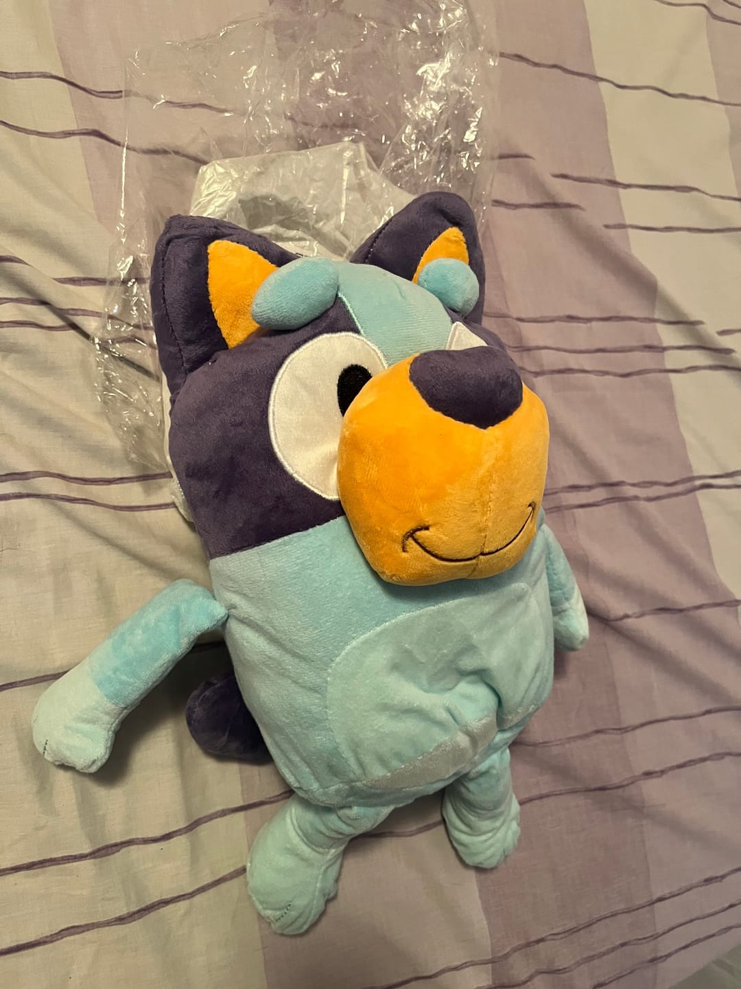 Customer photo review of Breathing Bluy Plush for Better Sleep