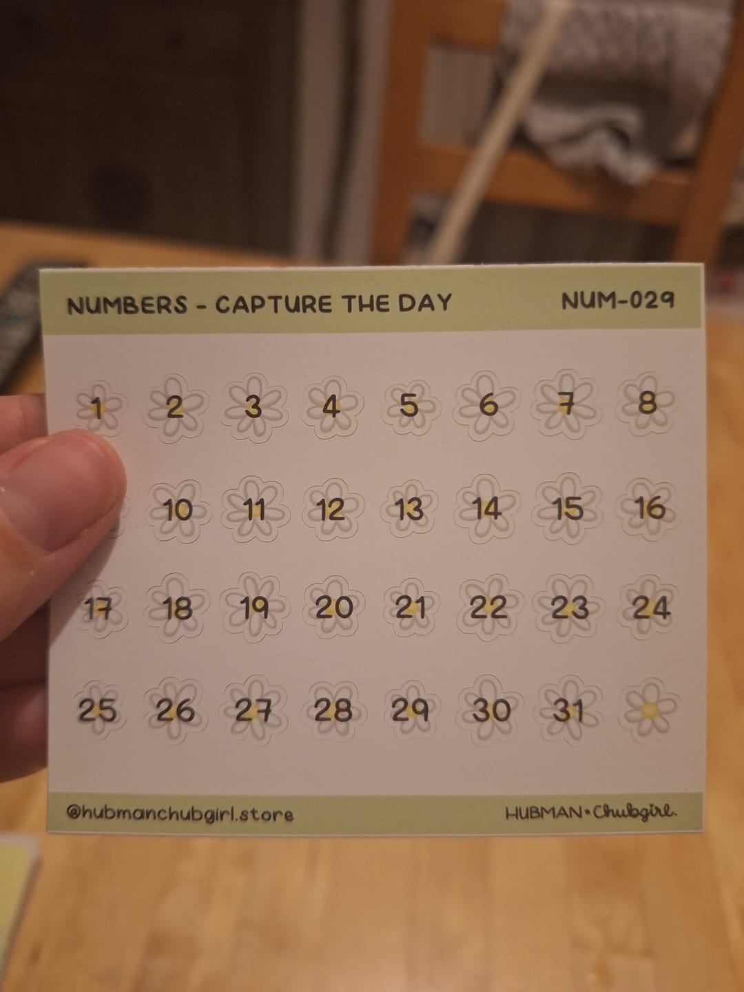 Customer photo review of Numbers - Capture the Day Planner Stickers