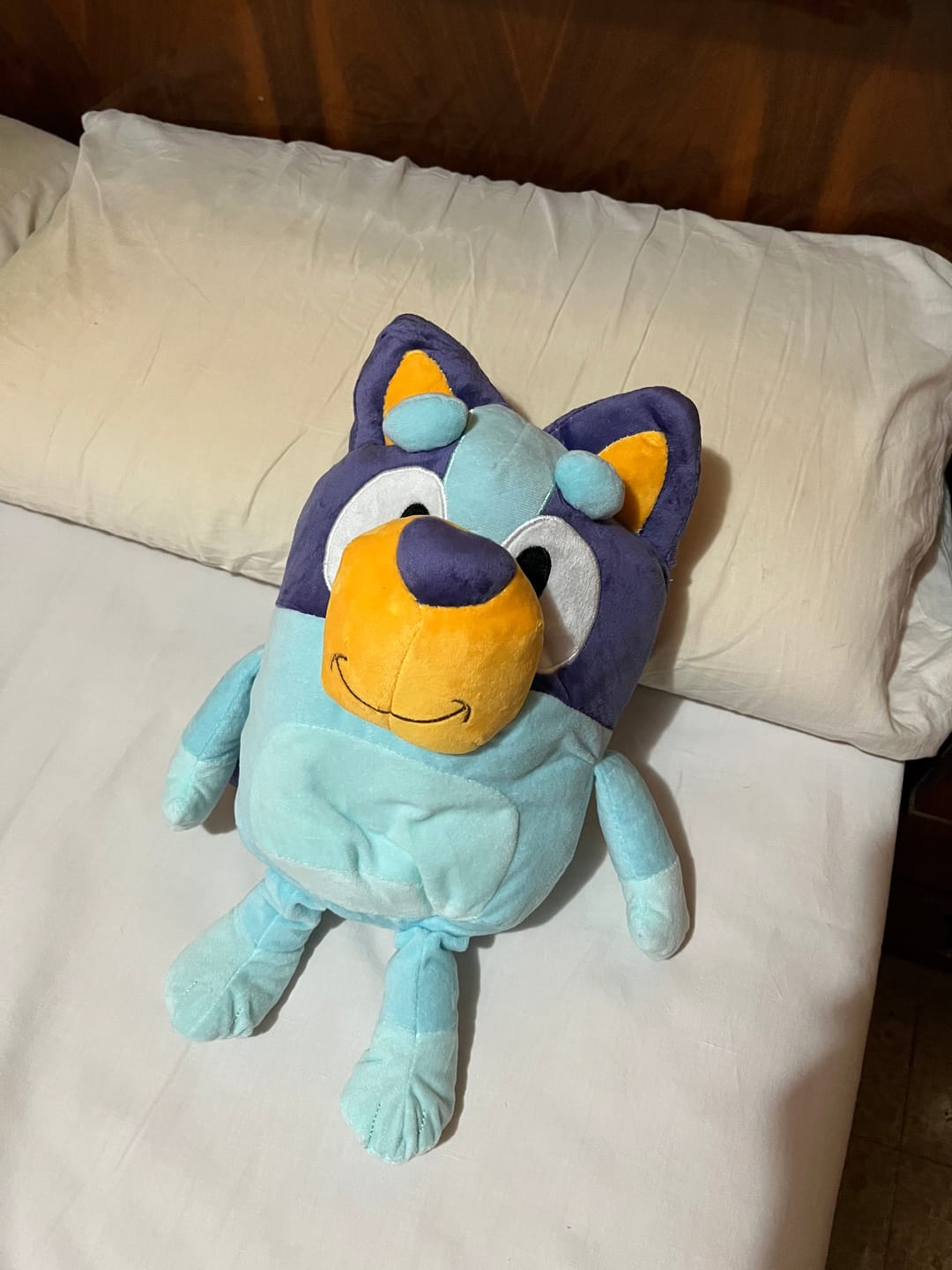 Customer photo review of Breathing Bluy Plush for Better Sleep