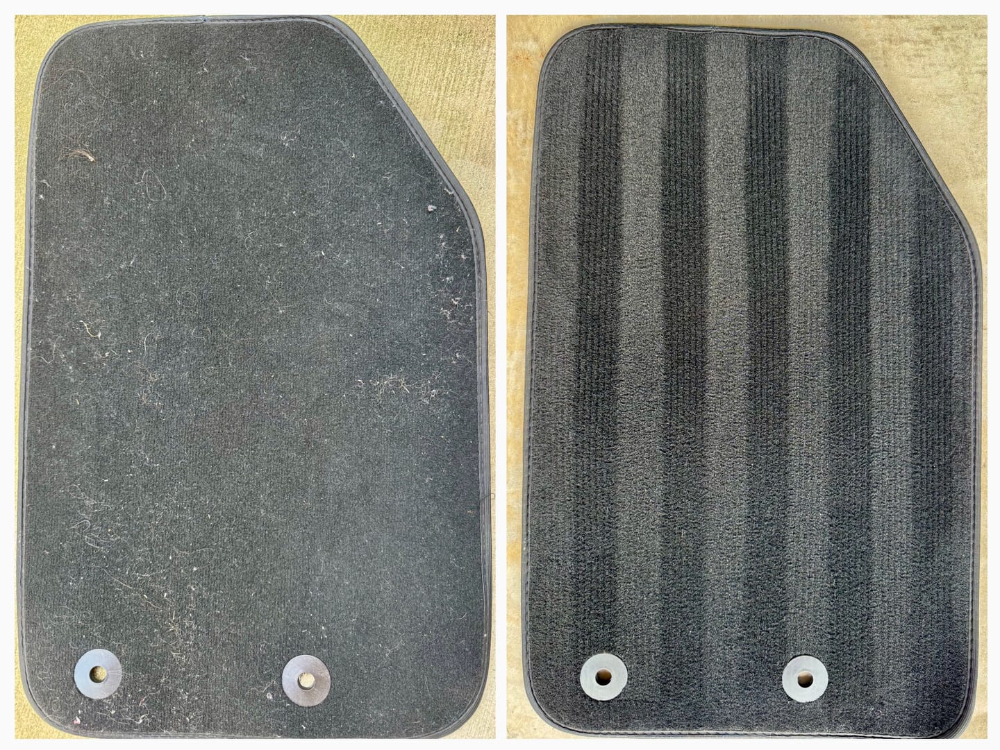 Customer photo review of Pet Hair Remover and Carpet Striping Block