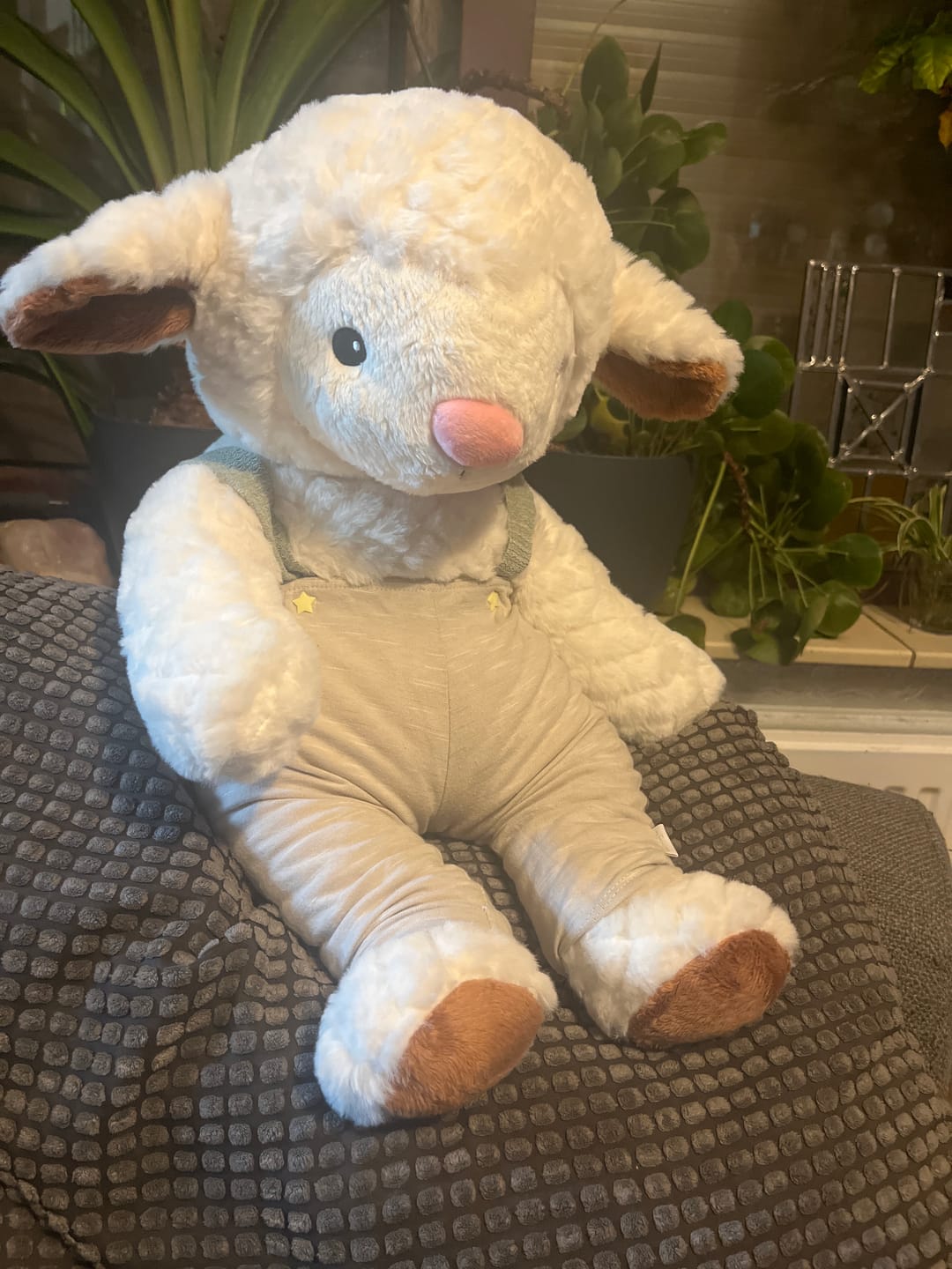 Customer photo review of Lotgenootje Schaap 2kg