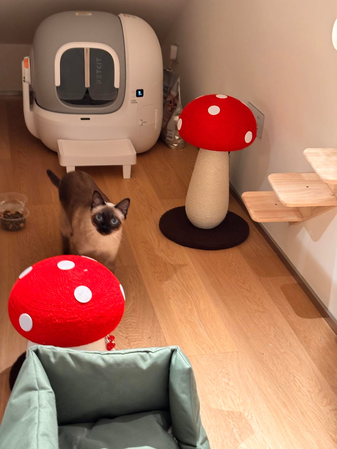 Customer photo review of Red Mushroom Cat Scratching Post