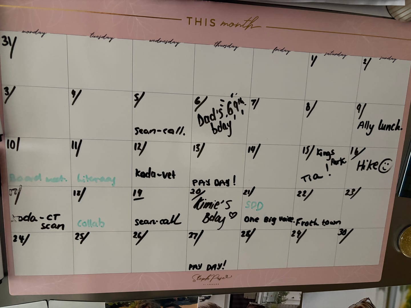 Customer photo review of Monthly Planner Magnet - Blush Pink
