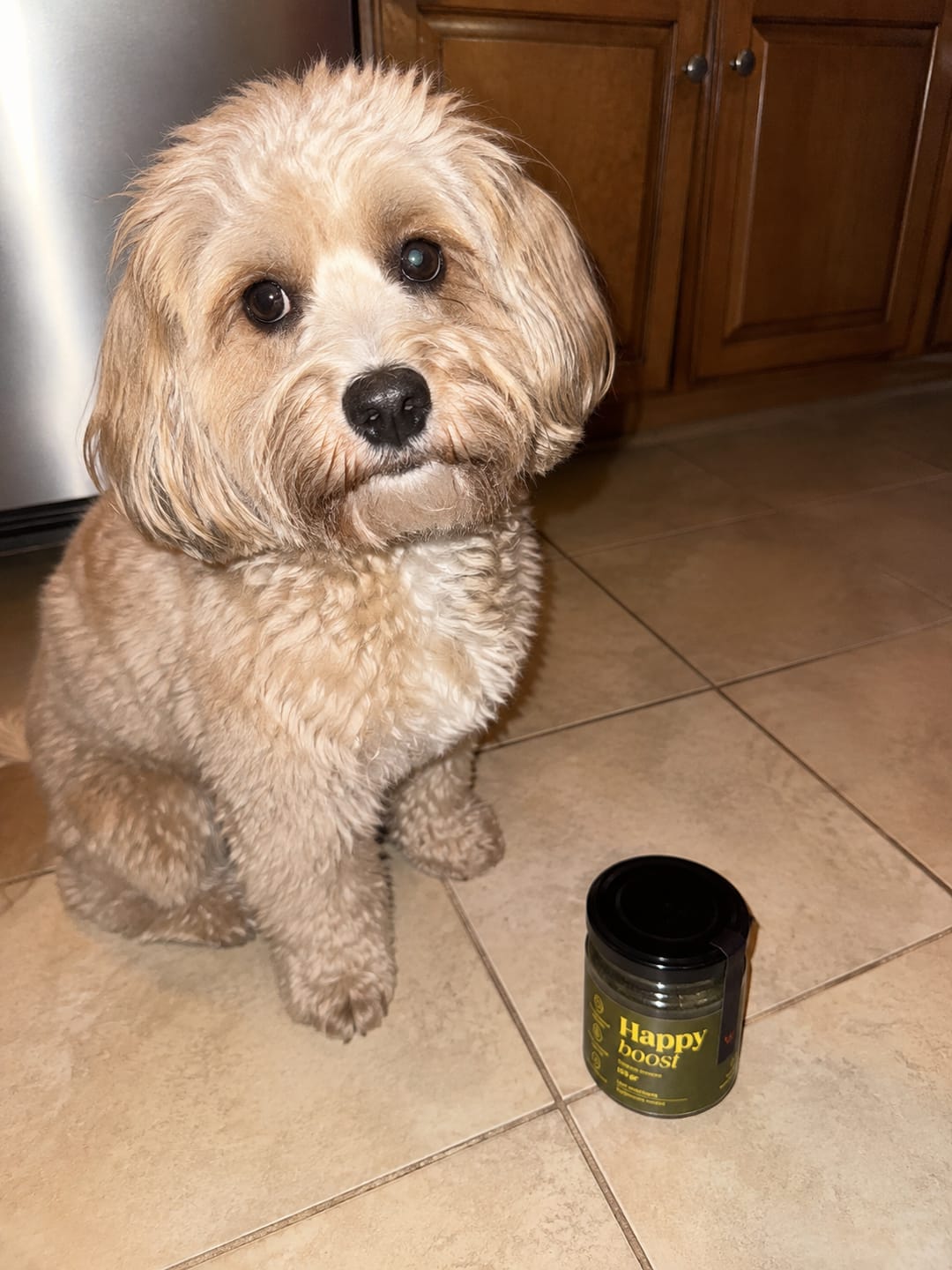 Customer photo review of Happy Boost I  Vitaminas para perro y gato con Algas y Miel de Abeja.