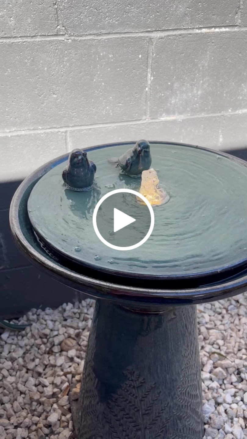 Customer video review of Fern Leaf Ceramic Birdbath Fountain - 70cm