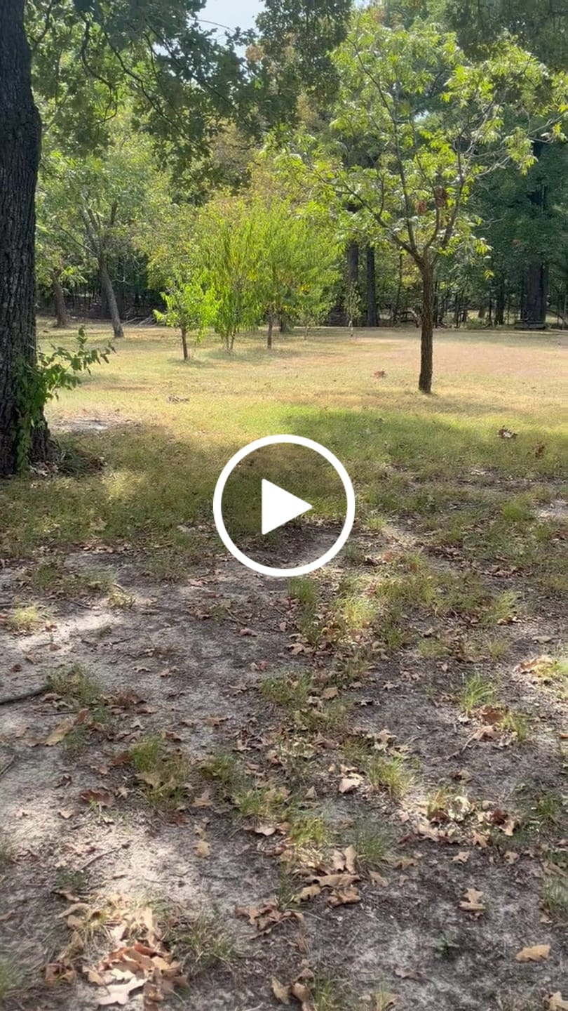 Customer video review of Freedom Trigger Taurus TX22 FRT | 22TY Forced Reset Trigger