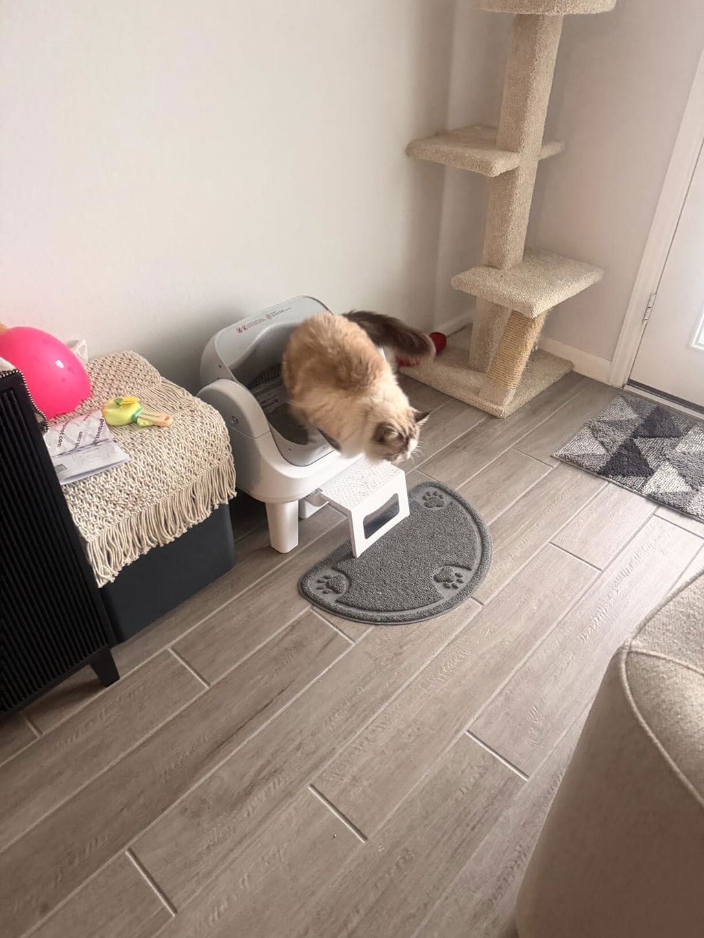 Customer photo review of AutoScooper 12 Lite Cat Litter Box