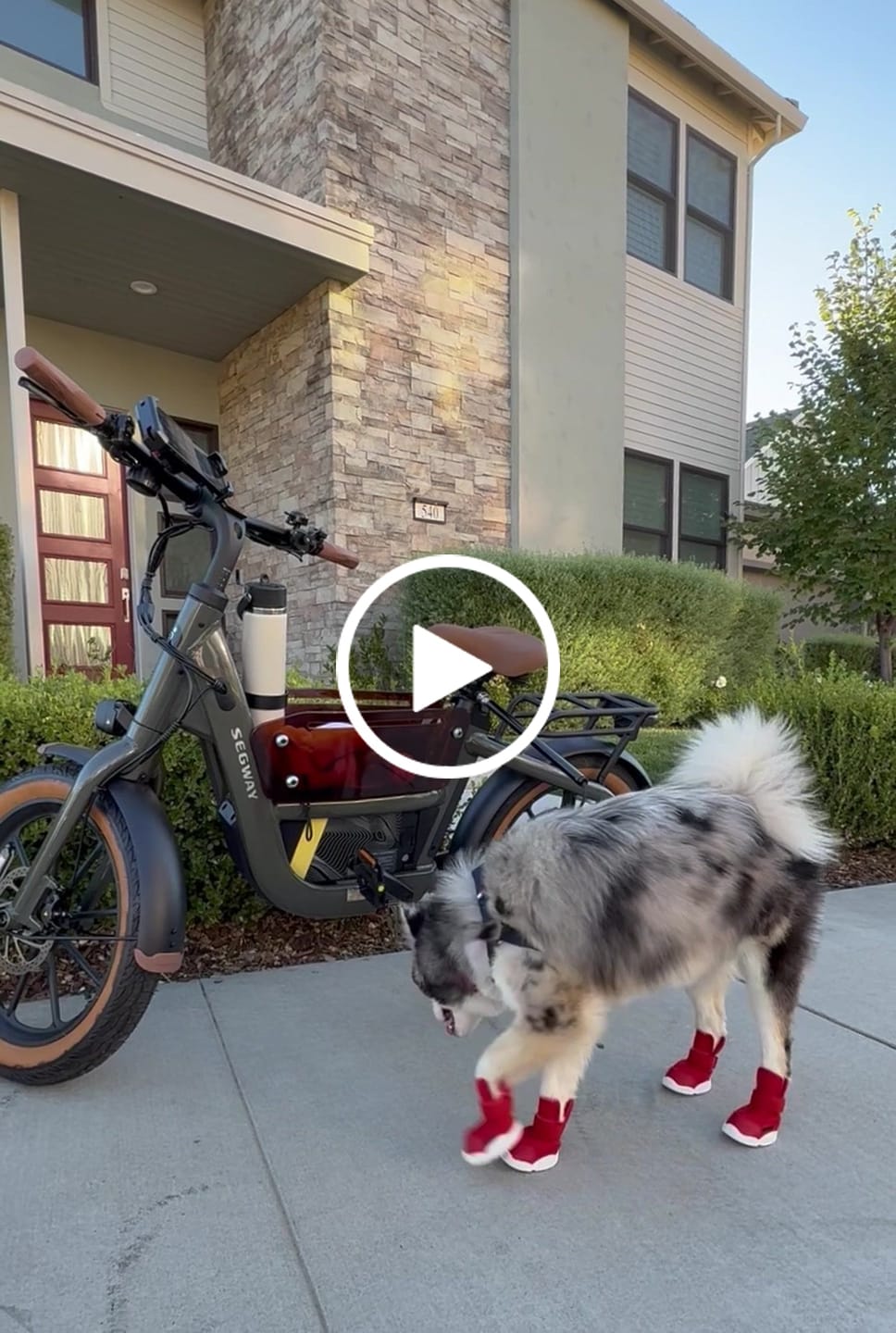 Customer video review of Caesar 1