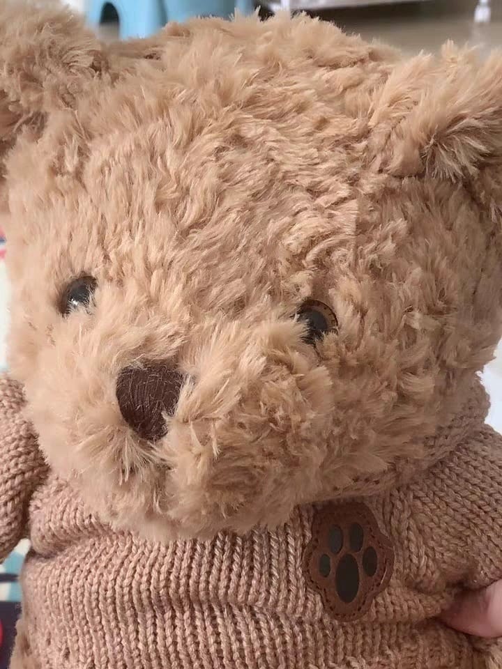 Customer photo review of Bruno Toffee Bear Plush Toy