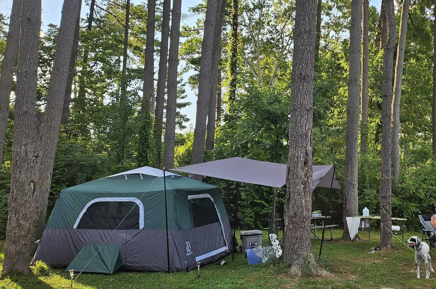 Customer photo review of 2-Step Cabin Tent