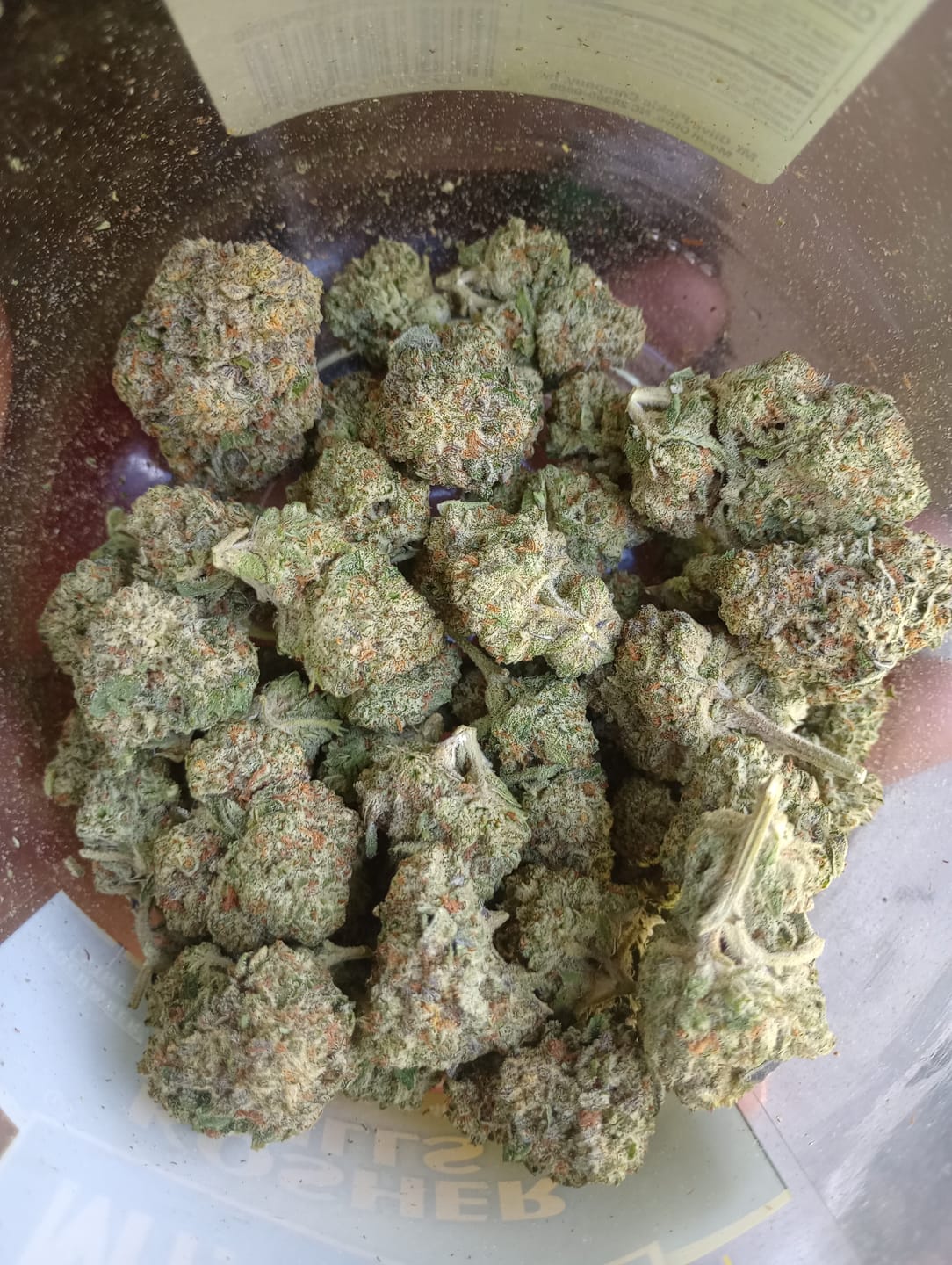 Customer photo review of Kinglato THCA Flower